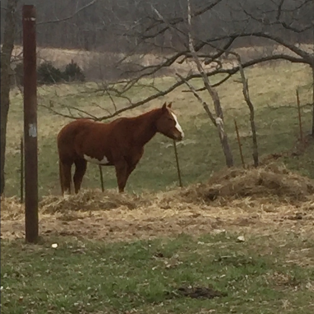 Meet your Posher, Tyler